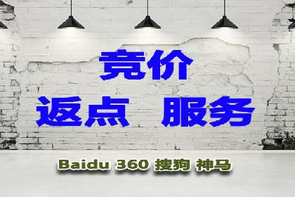 SEM专员案例深度解读